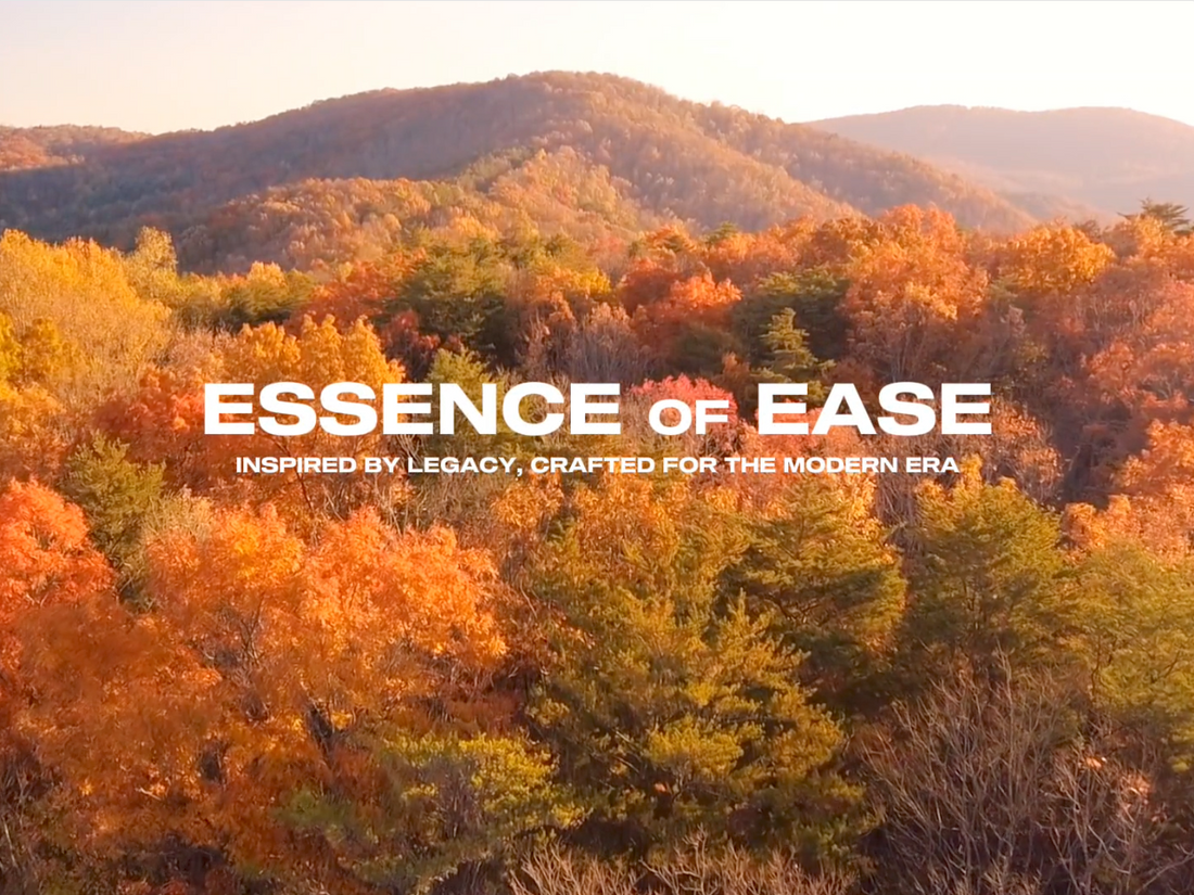 Essence of Ease – Die Stadt als Leinwand